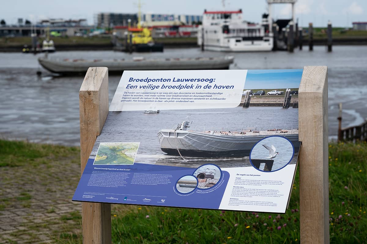 Broedponton in Lauwersoog