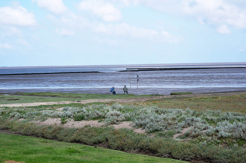 Uitzicht over de Waddenzee vanuit het Lauwersmeergebied