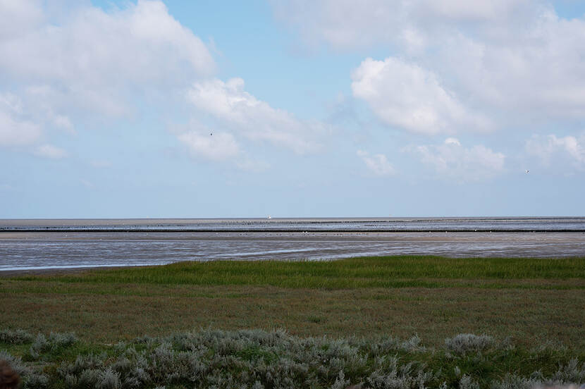 Uitzicht over de Waddenzee vanuit het Lauwersmeergebied