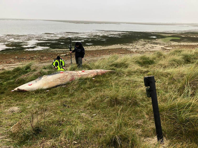 Rijkswaterstaat, Ministerie van LNV en Programma naar een Rijke Waddenzee (PRW) doen samen onderzoek in het Waddenzeegebied.