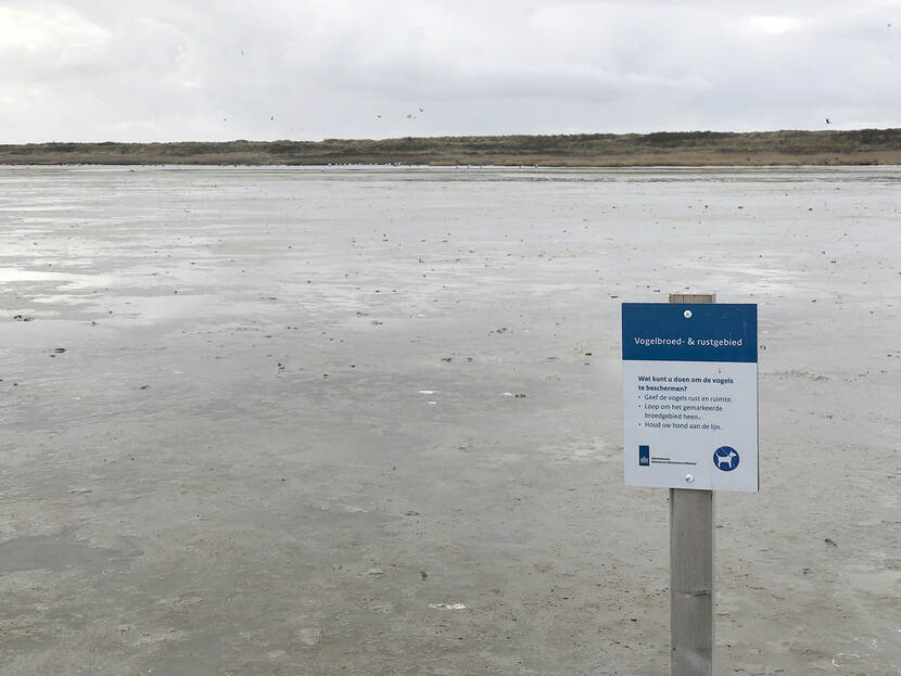 Rijkswaterstaat houdt toezicht en handhaaft in het Waddenzeegebied