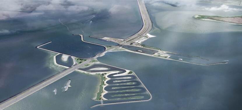 Vismigratie afsluitdijk