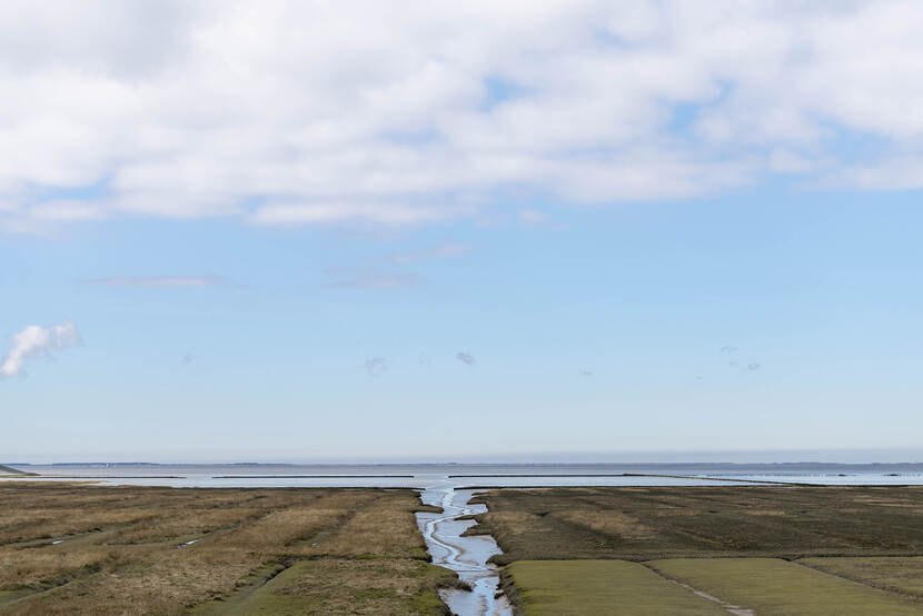 Noordkust ter hoogte van Nieuw Onrust, beheert door Het Groninger Landschap