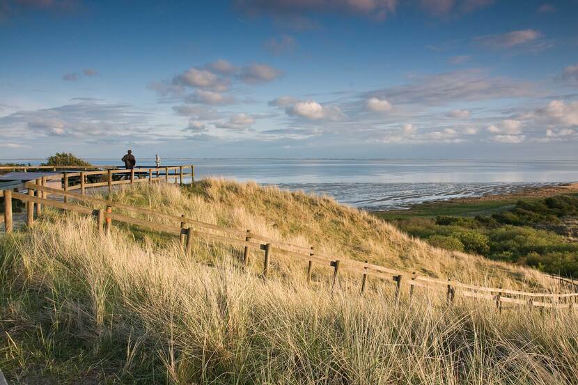 Uitzichtplateau Oerder Blinkert op de hoogste duin van Ameland