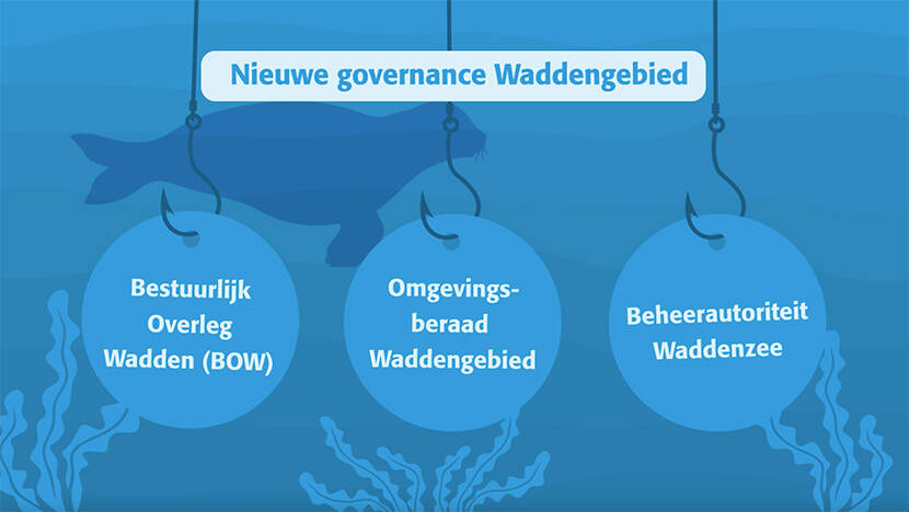 De partijen die samen de governance van het Waddengebied vormen